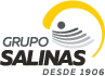 Dentro de esta imagen se encuentra el logo de Grupo Salinas
